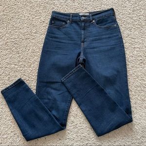 Everlane 27 Regular High Rise Skinny Jeans Medium Wash